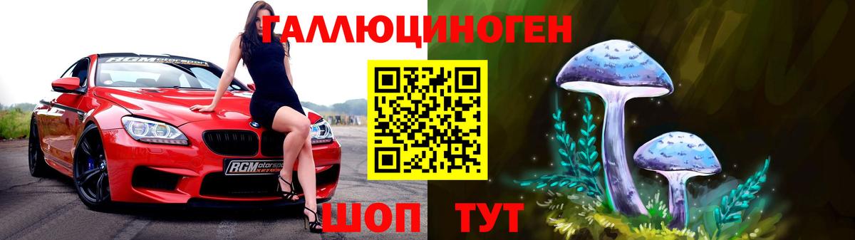 Галлюциногенные грибы Psilocybine cubensis Озёрск